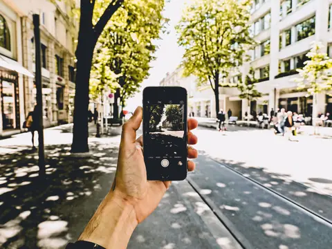 A hand holding a phone on a sunny, tree-lined street