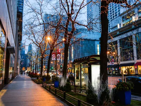 A downtown Chicago sidewalk with trees wrapped in lights at dusk